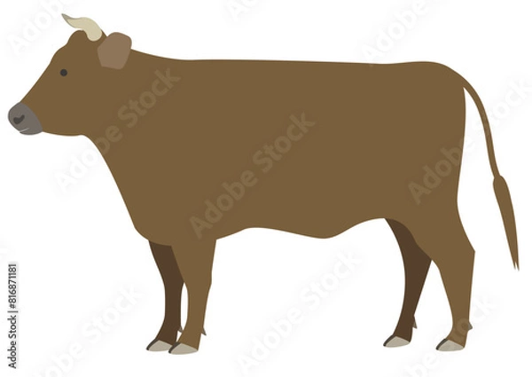 Obraz Dark brown cattle with horns seen from the side