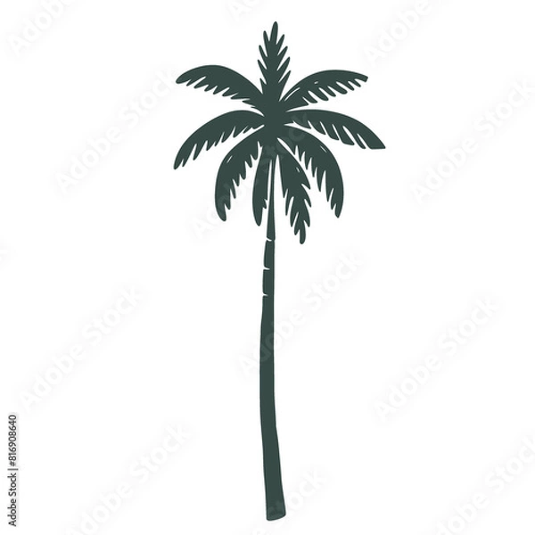 Obraz  Palm tree
