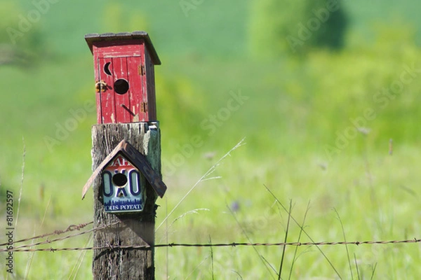 Obraz Rustic Houses 3