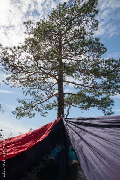 Obraz tent in the forest