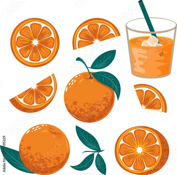 Obraz A vibrant vector set featuring various orange slices, whole oranges, and juice splashes, perfect for stock imagery with high commercial appeal.