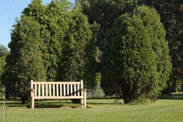 Obraz Park Bench