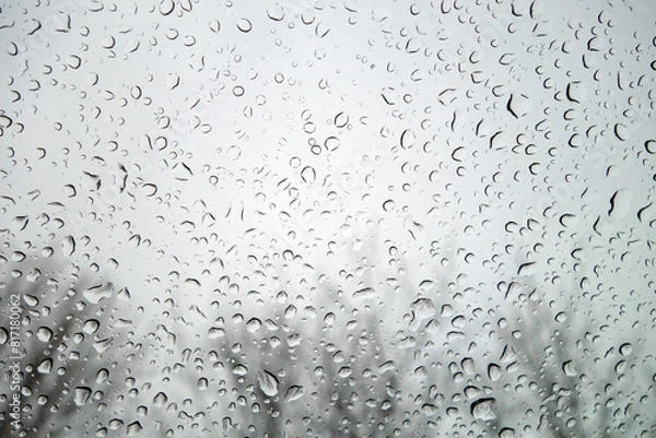 Fototapeta View on winter trees and sky through wet windshield with rain drops.