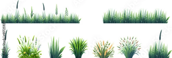 Fototapeta Green grass seamless border. Bunch of spring grass. Realistic meadow . Green field. Spring botanical elements . Tufts of gardens plants .Lawn grass. Spikelet