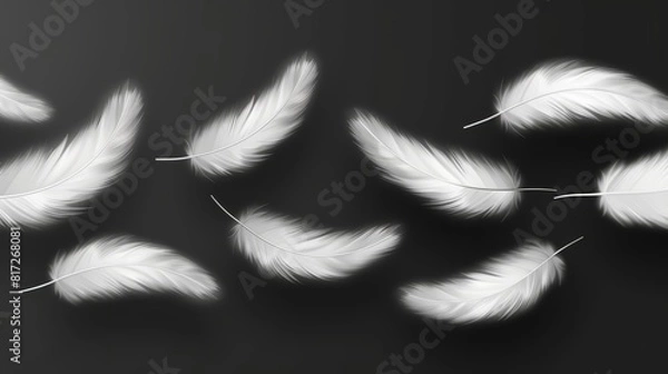 Fototapeta  A collection of white feathers hovering above a dark background A distinct white shadow lies to the image's left side