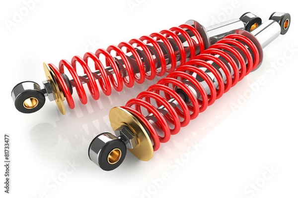 Obraz shock absorbers