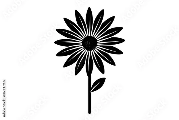 Obraz osteospermum  vector silhouette illustration