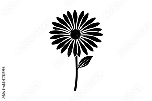 Obraz osteospermum  vector silhouette illustration