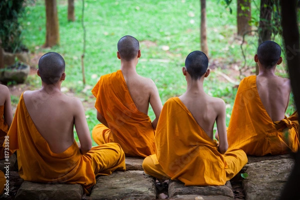Obraz young monks