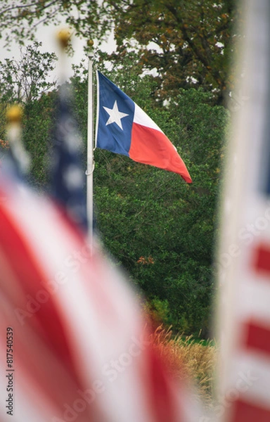 Fototapeta The state flag of Texas waving in the wind on flagpole. American flags in the foreground and trees in the background.