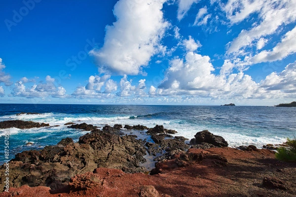 Fototapeta black lava beach in hawaii