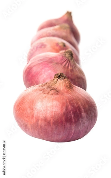 Fototapeta Large red onion over white background