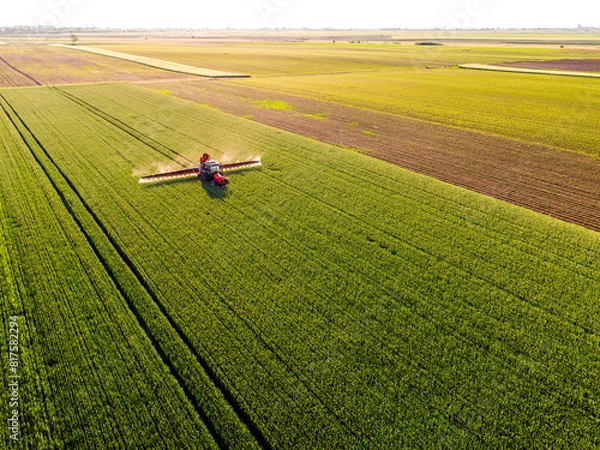 Obraz Drone shot of a red tractor applying treatment to wheat crops in vast farmland
