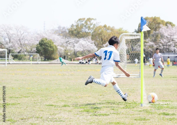 Obraz サッカーの試合でコーナーキックを蹴る小学生の男の子
