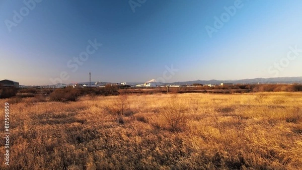 Obraz 夕暮れのススキと富士山