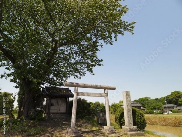 Obraz 稲荷神社