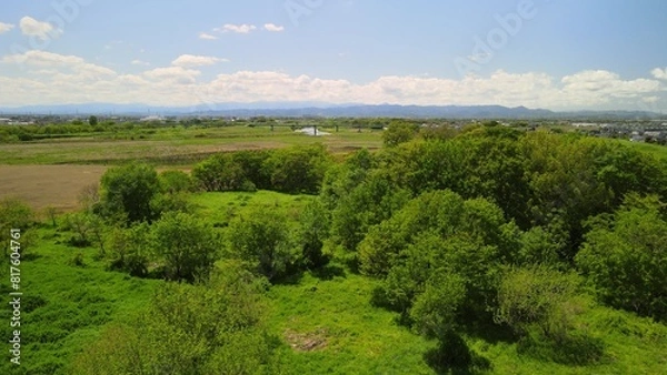 Obraz 河川敷と橋