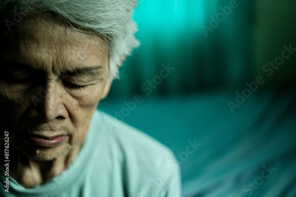 Fototapeta portrait of a senior person