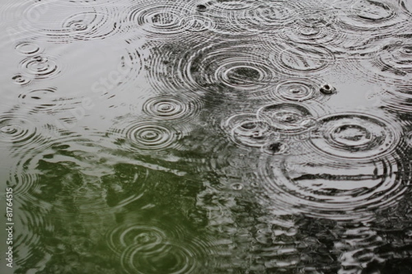 Fototapeta Drops rippling background 7737
