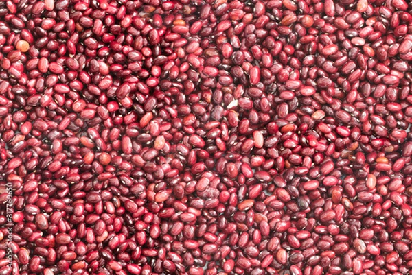 Fototapeta Seamless texture of beans
