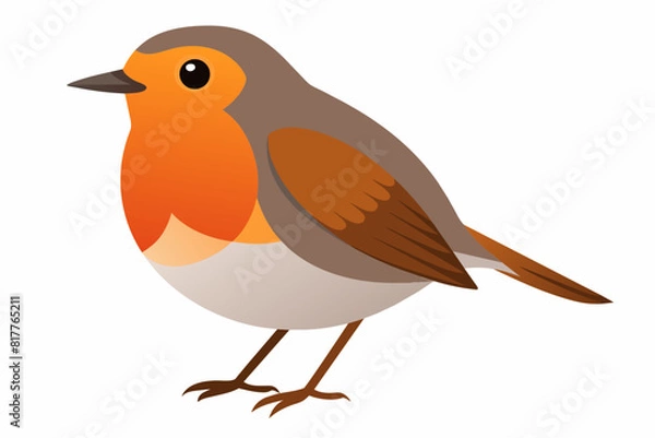 Obraz A beautiful robin bird vector artwork illustration