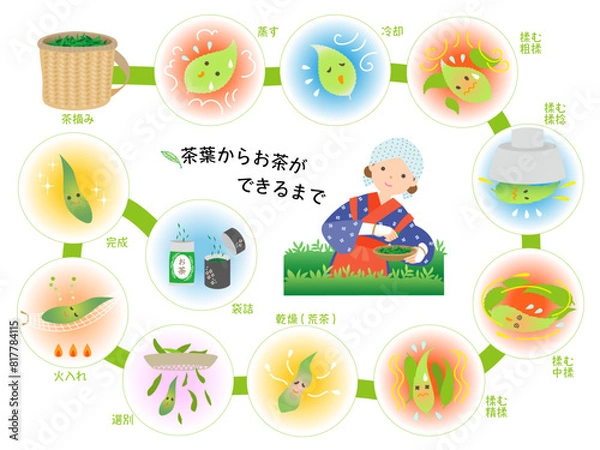 Obraz 茶葉からお茶ができるまで