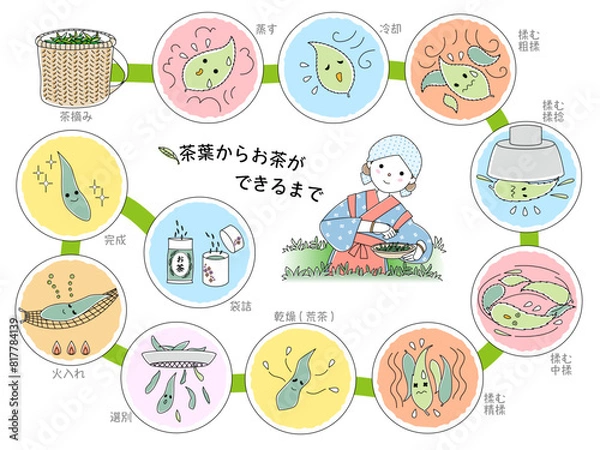 Obraz 茶葉からお茶ができるまで