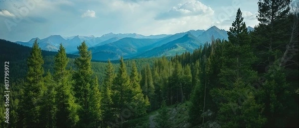 Fototapeta Panoramic Mountain Landscape with Forest