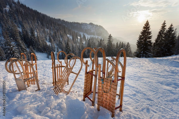 Obraz Rodelvergnügen