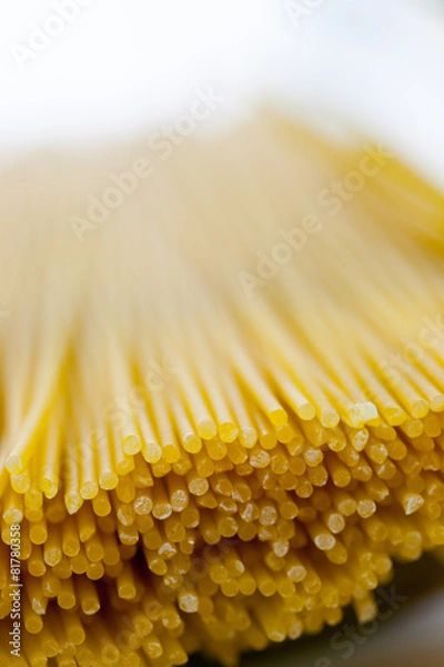 Obraz Spaghetti, Pasta