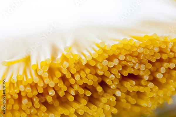 Obraz Spaghetti, Pasta