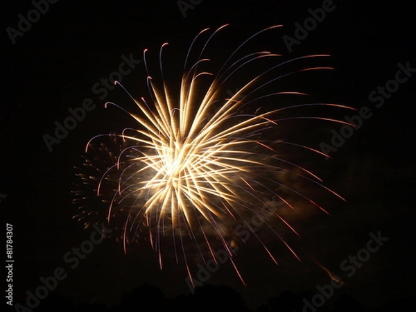 Obraz Fireworks 15-19
