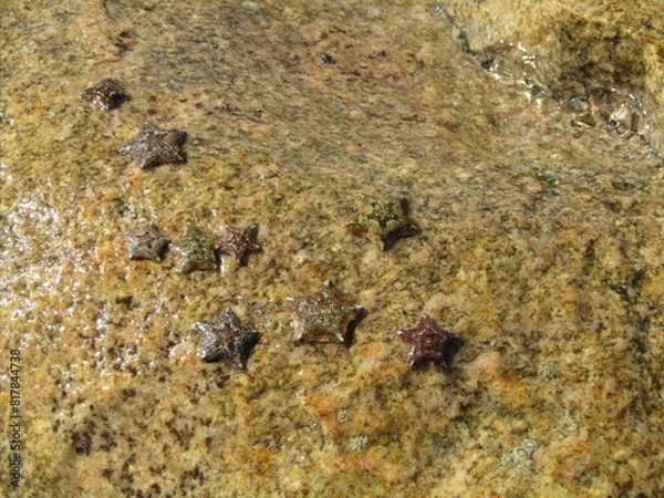 Fototapeta a rock that has some stuff in it on it's side