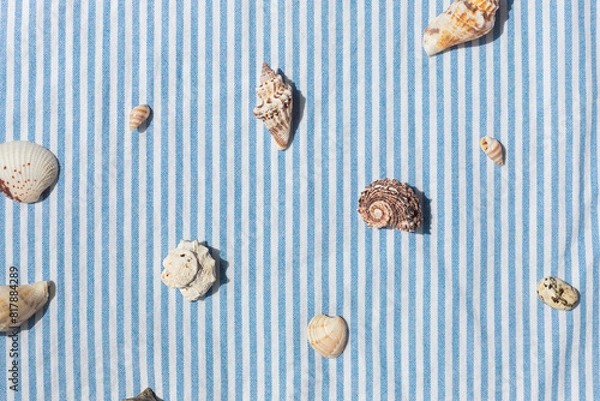 Fototapeta Different kinds of seashells frame on the blue striped fabric background top view. 