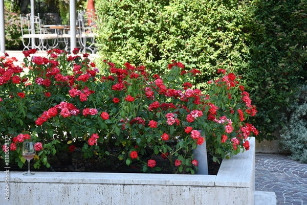 Obraz giardino artistico e curato nel comune di Benevento