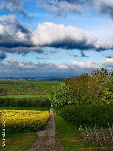 Obraz Frühlingslandschaft