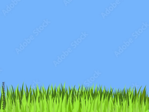 Fototapeta Herbe vectorielle