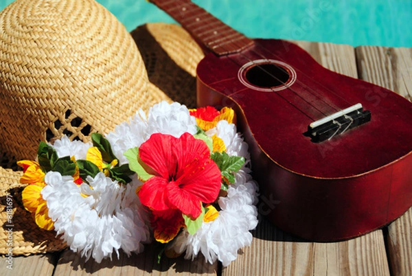 Obraz Ukulele and Tropical Hat