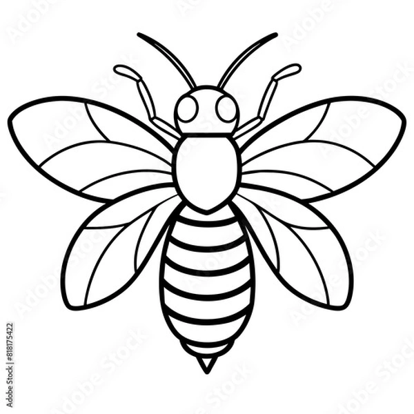Obraz bee lineart vector illustration