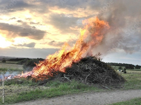 Obraz Summer Bonfire and Flames