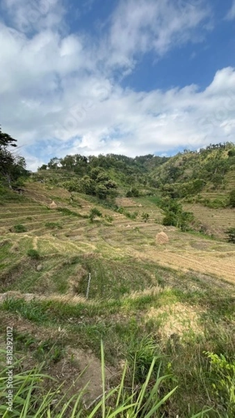 Obraz landscape with blue sky