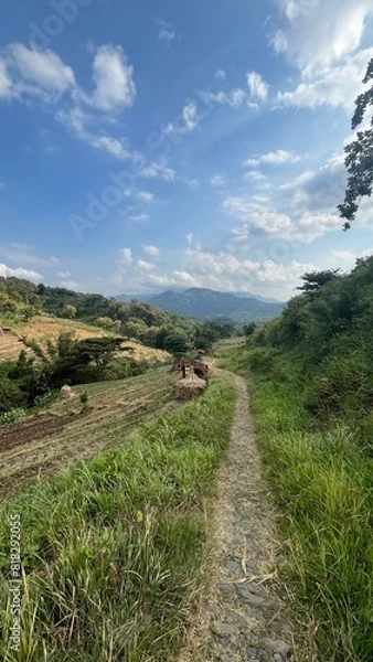 Obraz path to the mountain