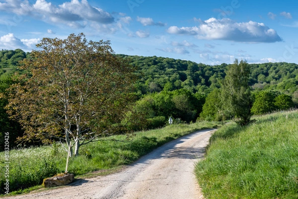 Obraz gravel track in the countryside