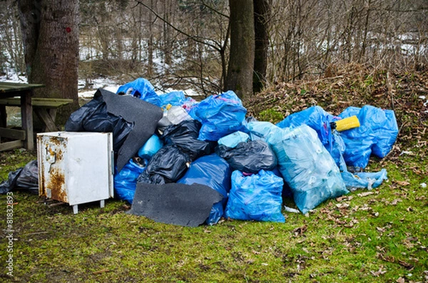 Fototapeta Garbage in the forest