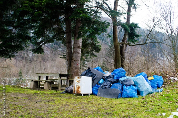 Fototapeta Garbage in the forest