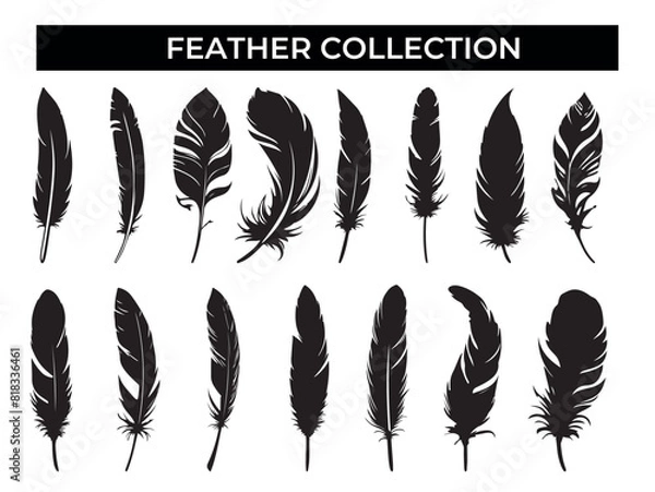 Obraz Collection of Black Feathers on White Background