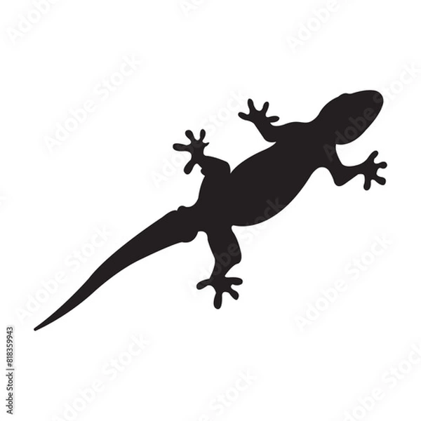 Fototapeta lizard icon vector illustration design template