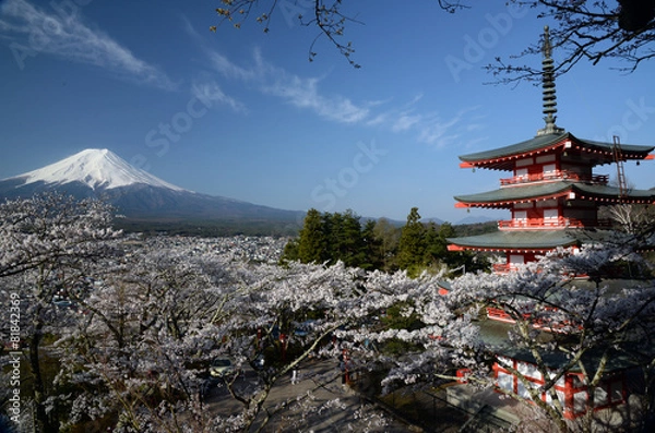 Obraz 新倉浅間公園の春