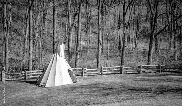 Obraz Lone teepee