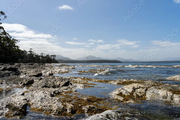 Fototapeta sailing on a yacht in the australian in the remote forest wilderness in spring, with waves breaking on a beach on the australian coastline